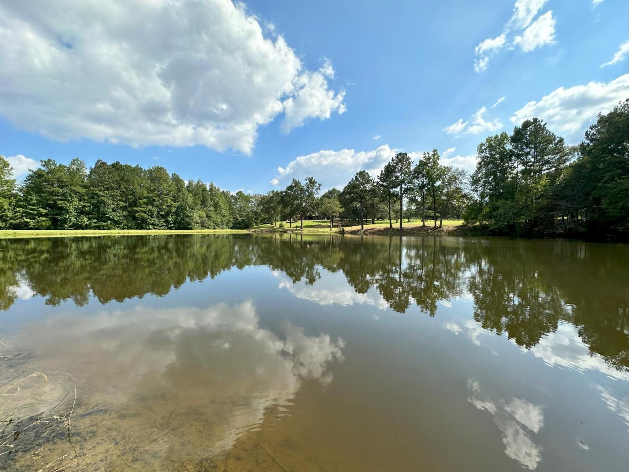 Refuge Ranch Retreat Log Cabin Lake 53+ Acres لوكوست غروف المظهر الخارجي الصورة